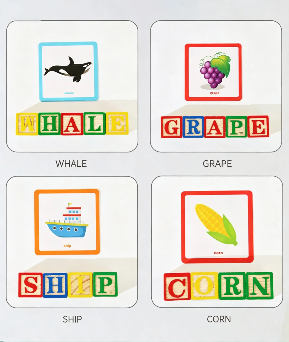Wooden Picture & Spelling Box — Pivoli Toys — product image 9