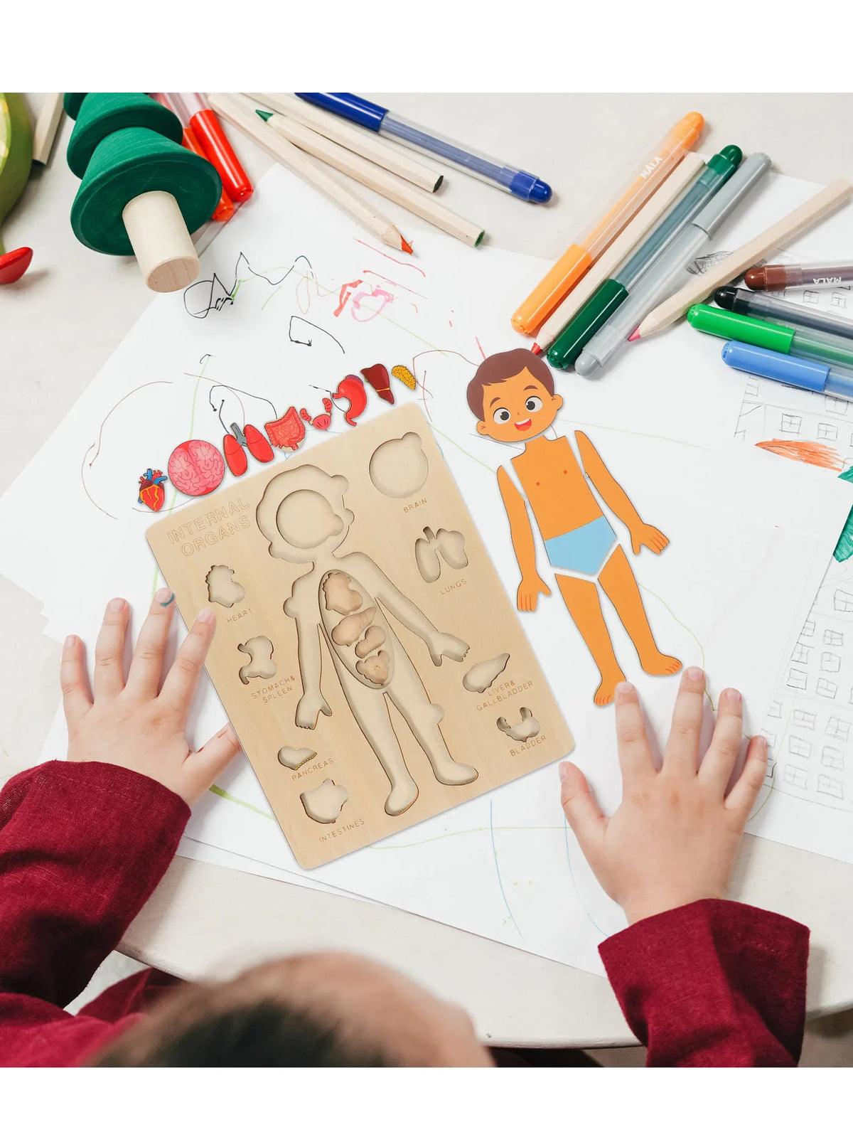 Wooden Human Body Puzzle — Pivoli Toys — product image 3