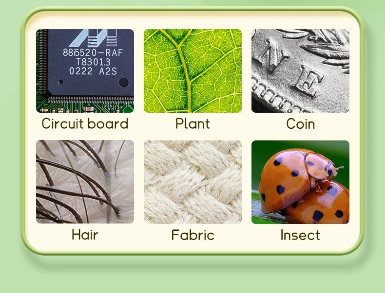 Digital Microscope with Screen & Memory Card — Pivoli Toys — product image 7