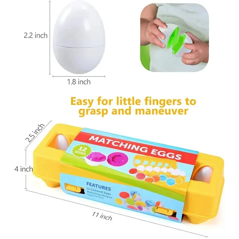 Colour and Shape Matching Eggs, Set of 12