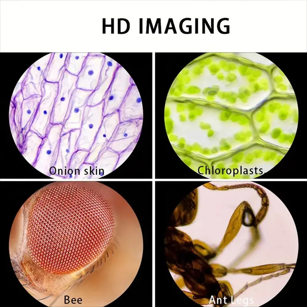 LED Pocket Microscope — Pivoli Toys — product image 4
