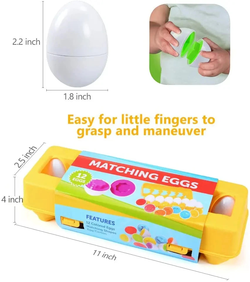 Colour and Shape Matching Eggs, Set of 12