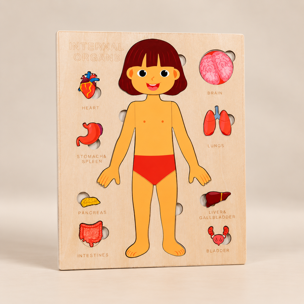 Wooden Human Body Puzzle for Kids – Girl – Pivoli Toys