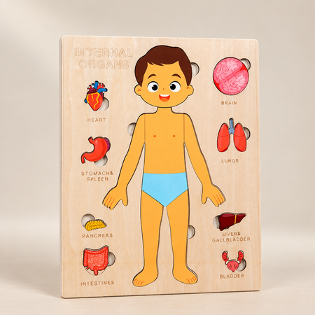 Wooden Human Body Puzzle for Kids