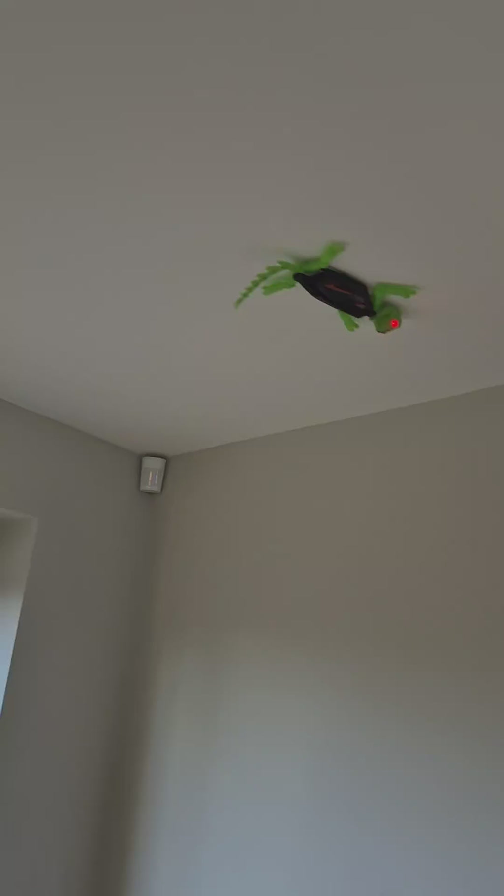 Remote Control Wall-Climbing Gecko climbing across a ceiling and up a wall