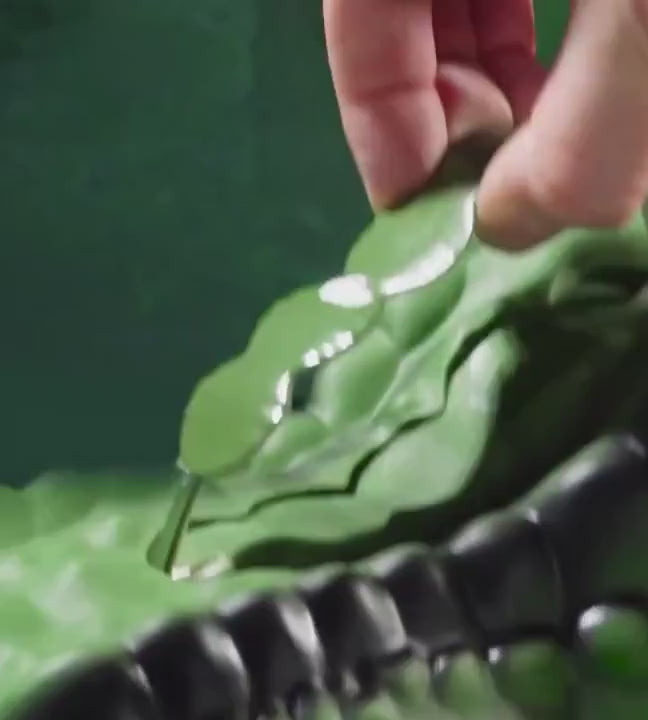 Dinosaur Play Set with Carry Case, 64 Pieces, product video