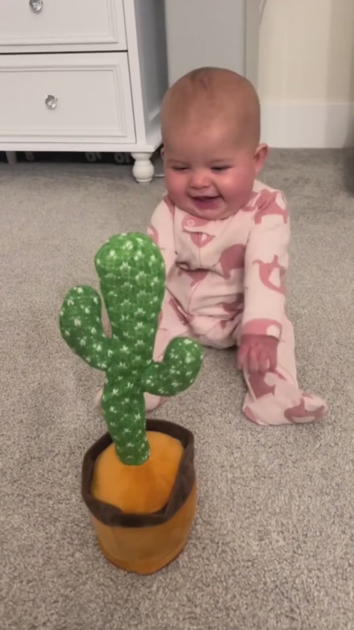 Baby meets cactus