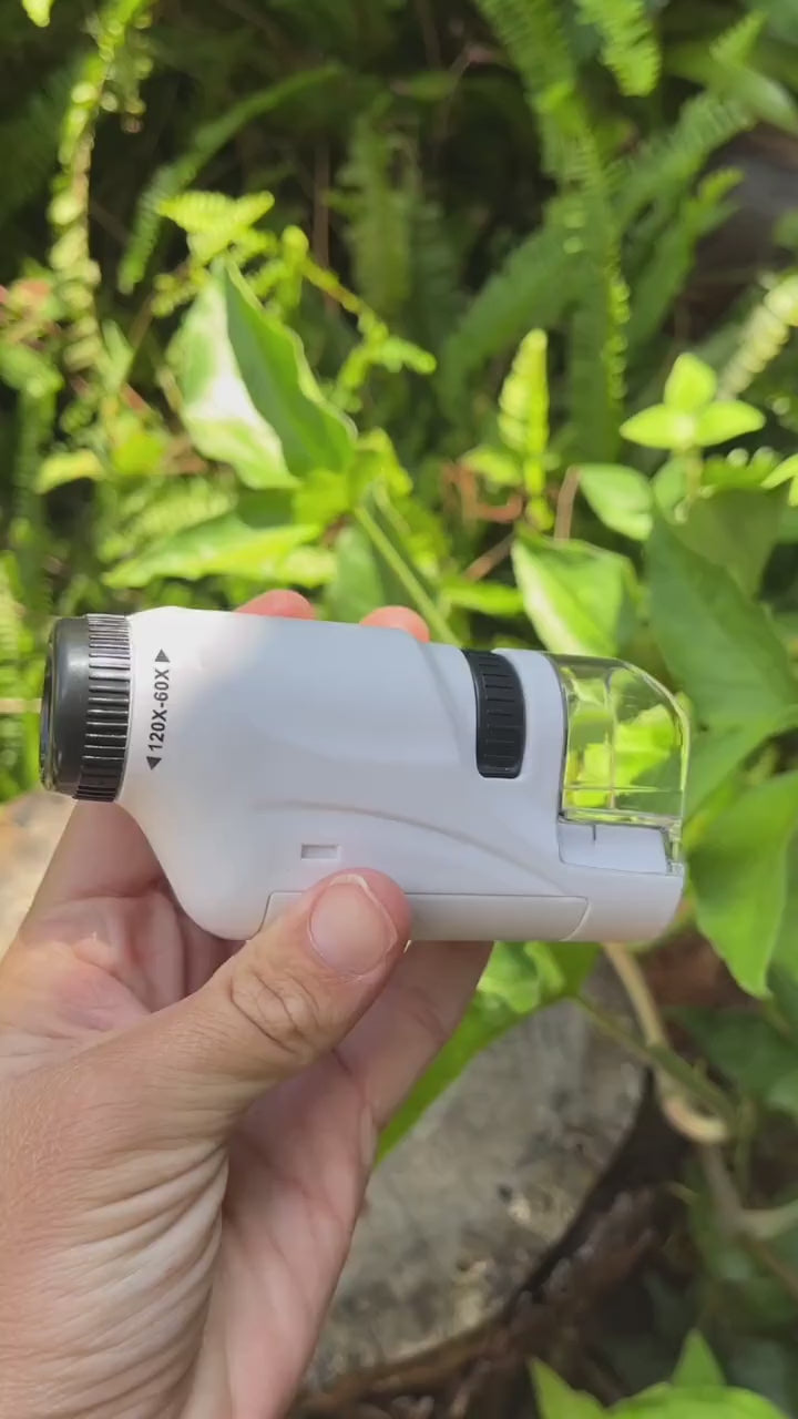 LED Pocket Microscope with Up to 120x Magnification, outdoor demo